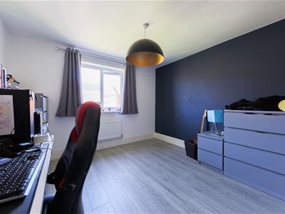 Picture 23
